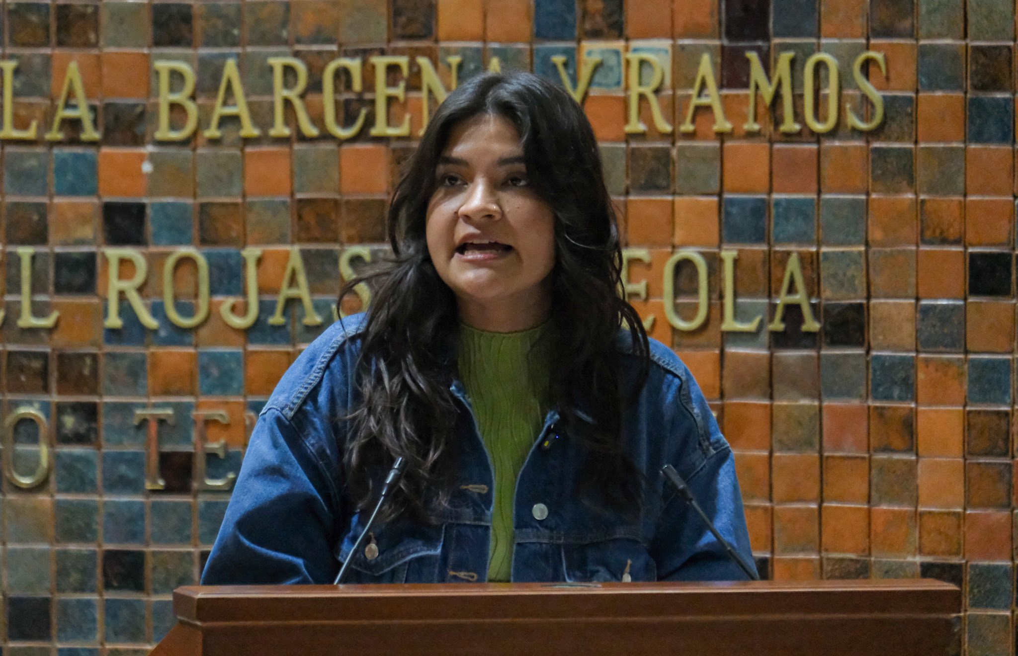 A Proposal to Tax Vacant Homes and Cap Airbnb in Jalisco
