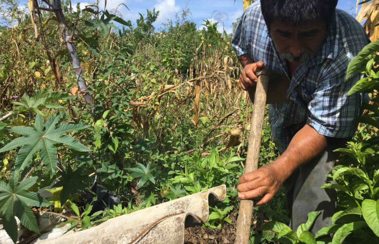 Mexico’s Future Will be Small and Local