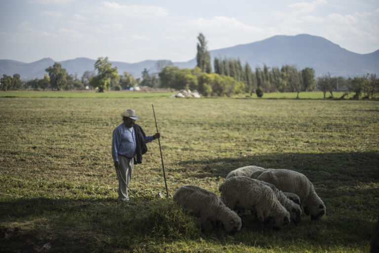 The 4th Transformation & Rural Mexico