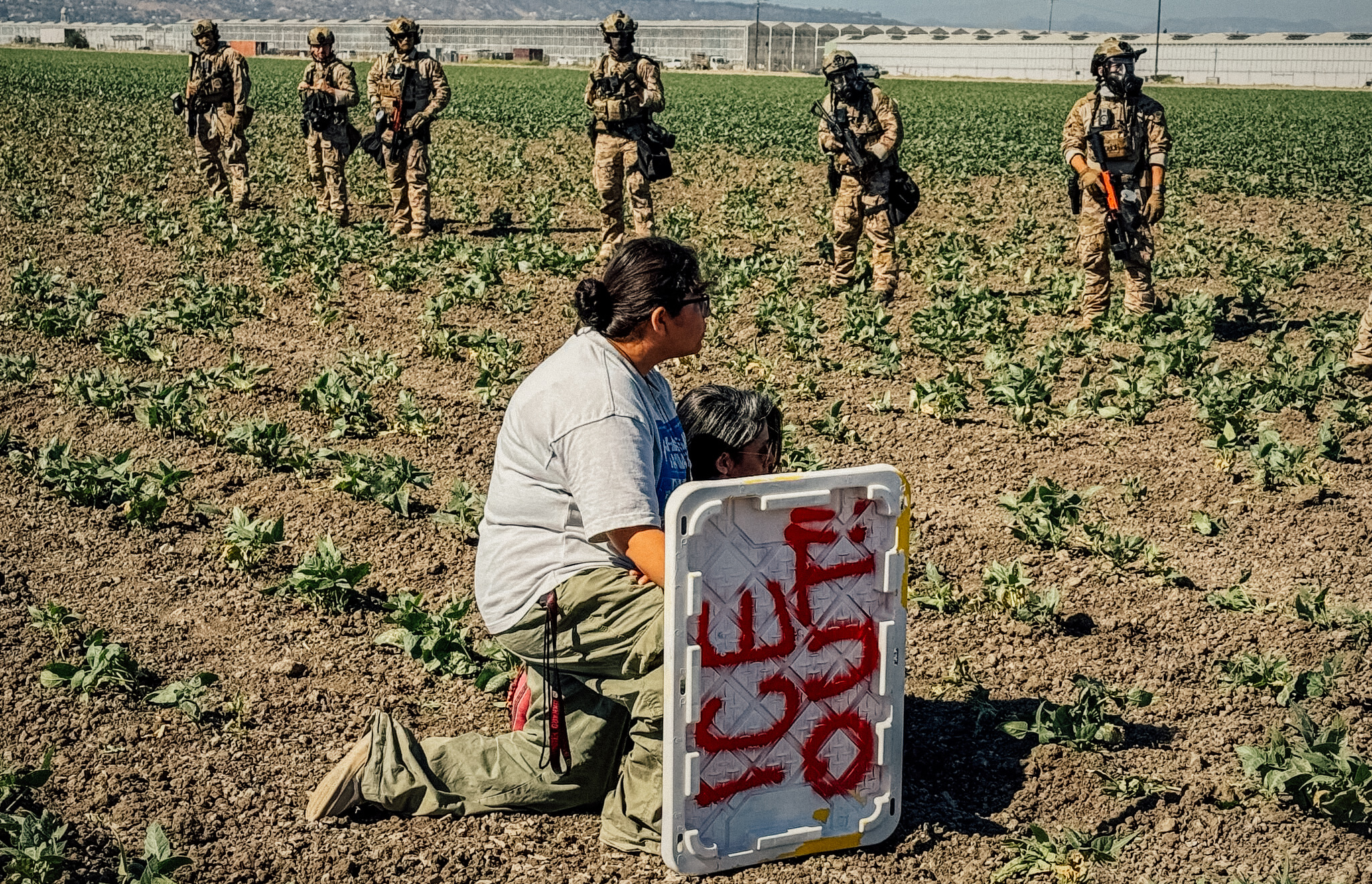 New Attack in California, 100 Migrants Kidnapped