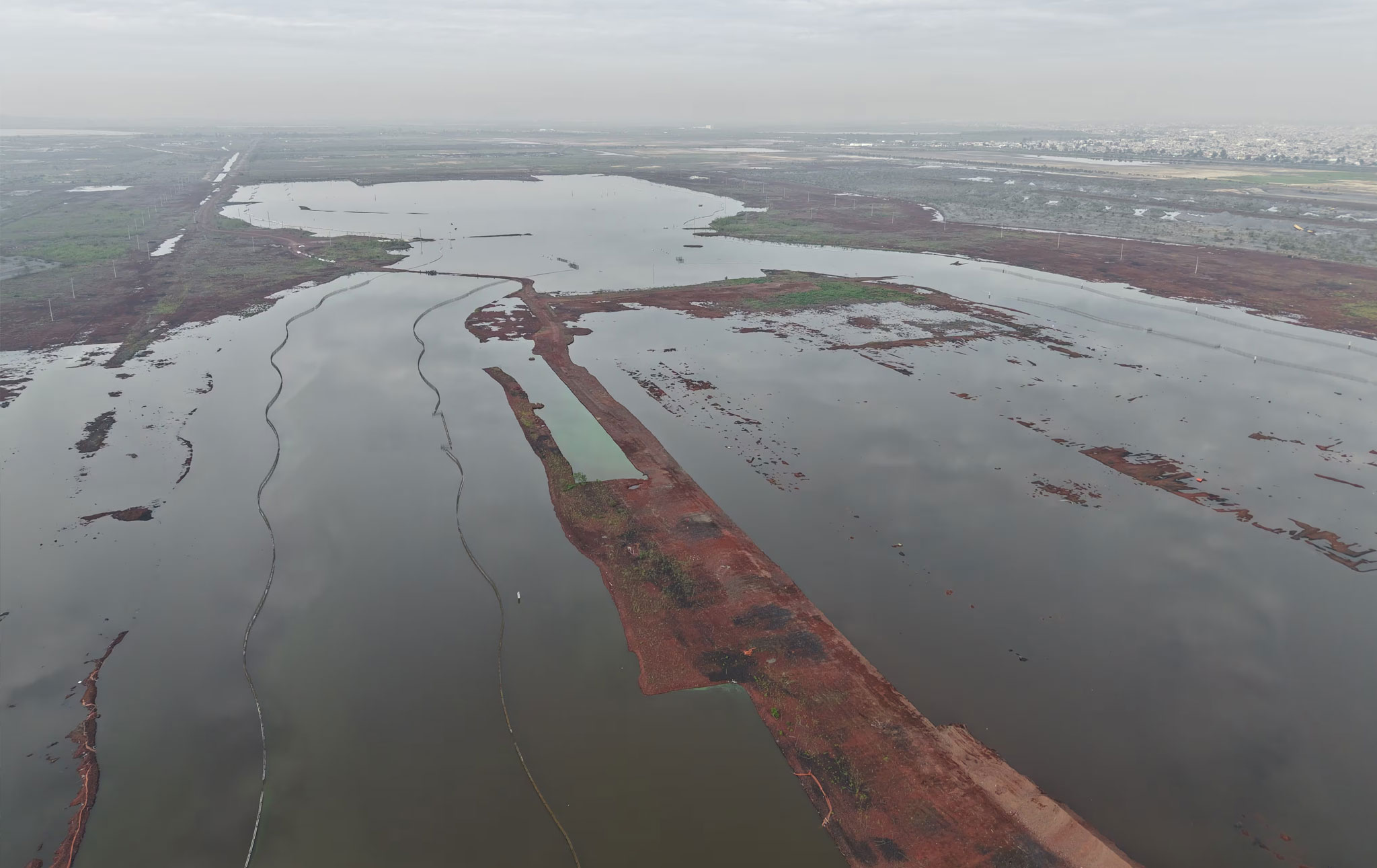 Lake Texcoco: Life’s Triumph