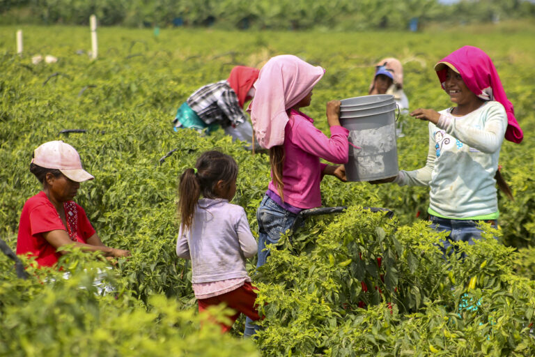 Day Labourers: Victims of Cruelty