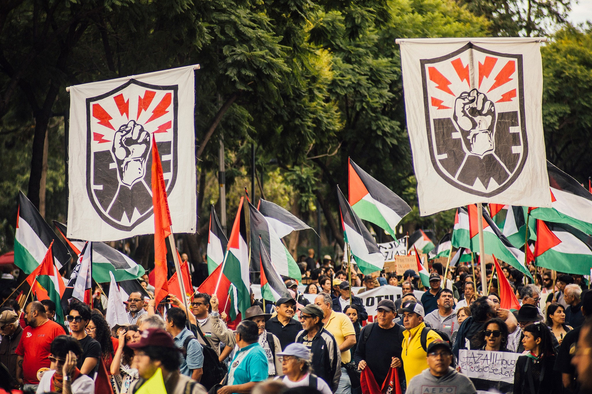 SME Asks Supreme Court to Review Decree Disbanding Luz y Fuerza Electrical  Utility