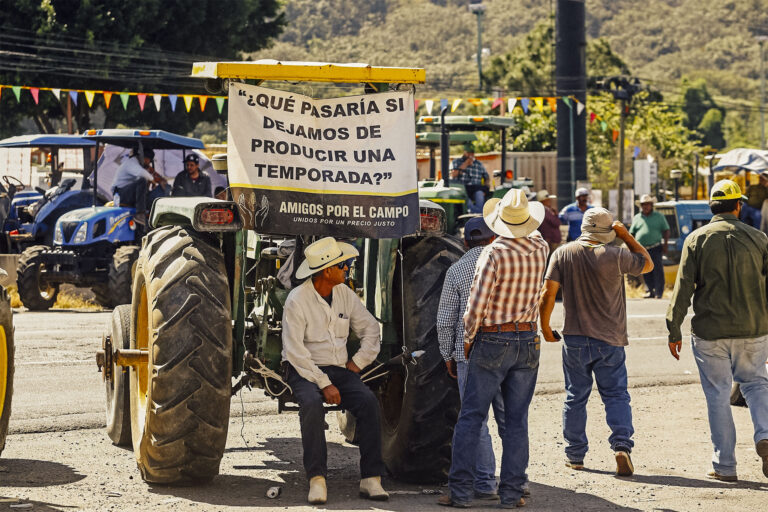 The Mirage of Development Without Industry & Without Agriculture