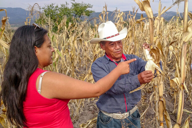 Mexico’s Ministry of Agriculture Favours US Producers Over Mexican Producers
