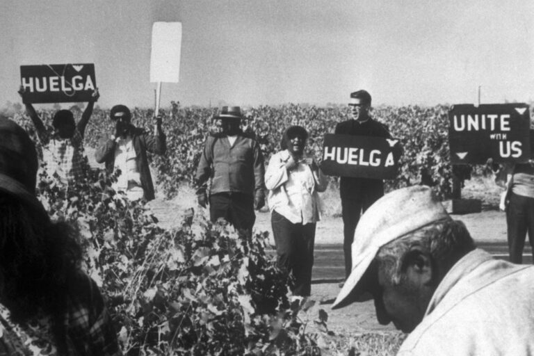 Becoming a Migrant Defender