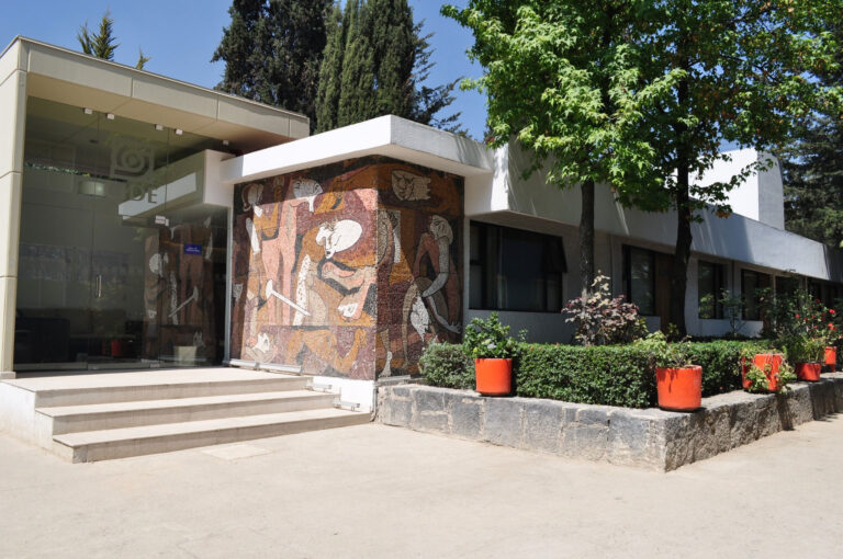 The Presidential Mandate & The Battle to Transform CIDE