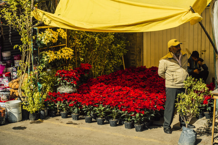 The Needed Debate on Mexico’s Informal Economy