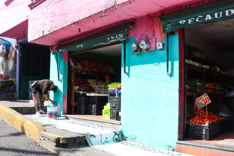 Milpa Alta, The Mexico City Borough with No Retail Chains