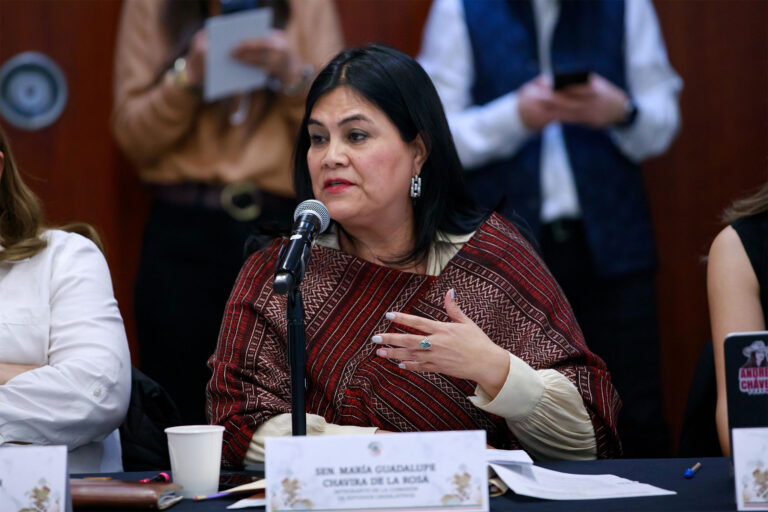 Morena Senators Call on Mexican Government to Protect Migrants from Bounty Hunters