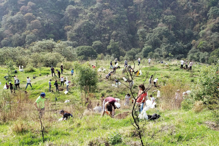 Mexico City’s Participatory Budget Will Increase to 2.3 Billion Pesos for 2026