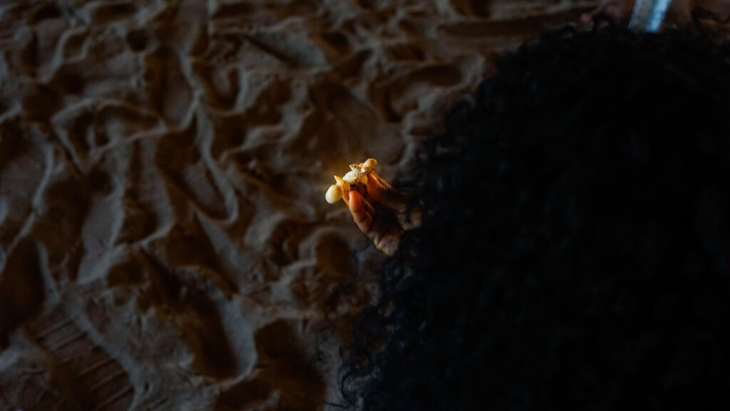 Mexico’s Afro-Descendant Communities Fight Racism & Inequality