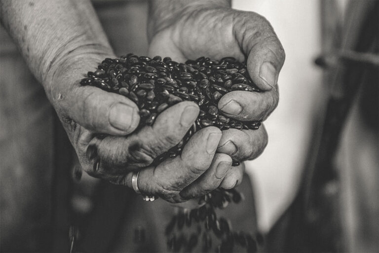 Mexican Grains Crisis Persists: Farmers Threaten More Protests