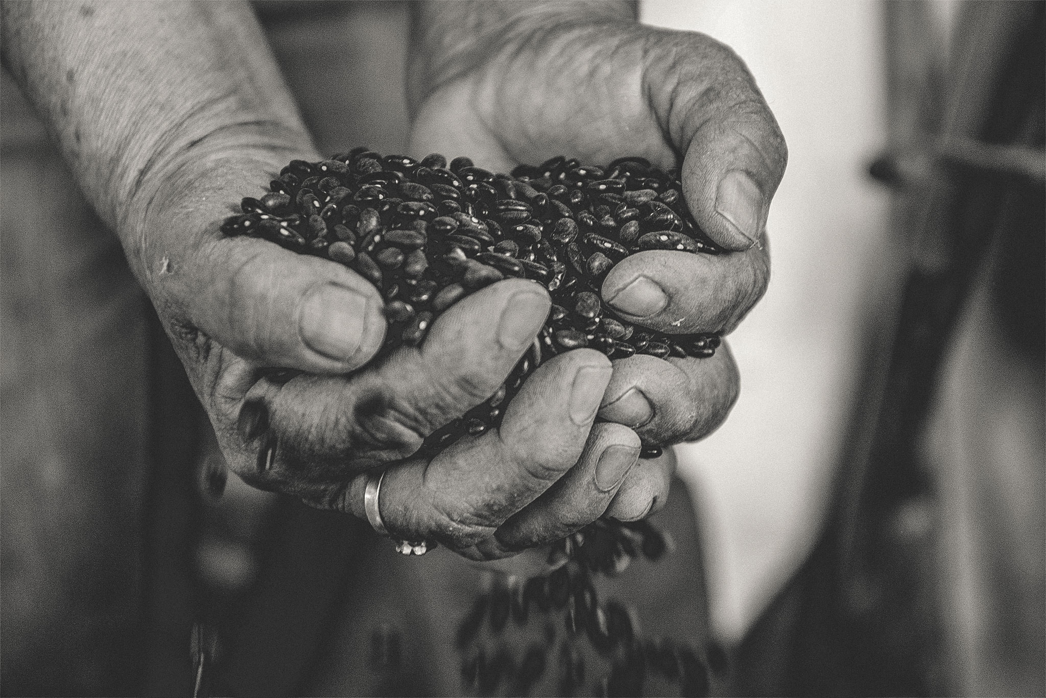 Mexican Grains Crisis Persists: Farmers Threaten More Protests