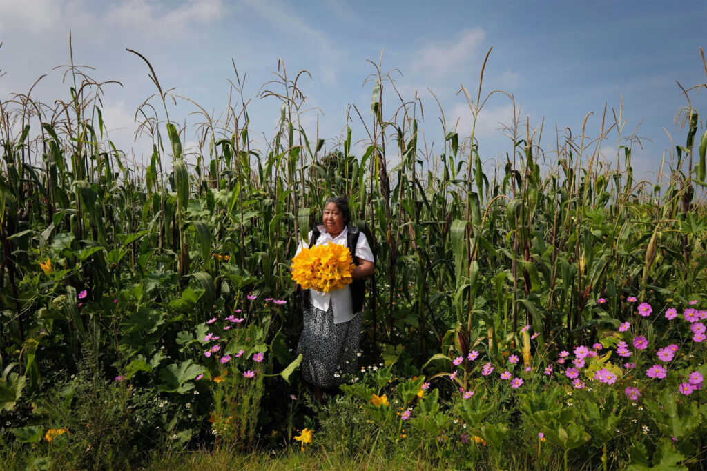Not By Bread Alone…