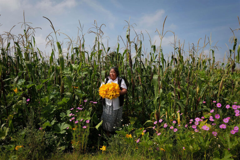 Not By Bread Alone…