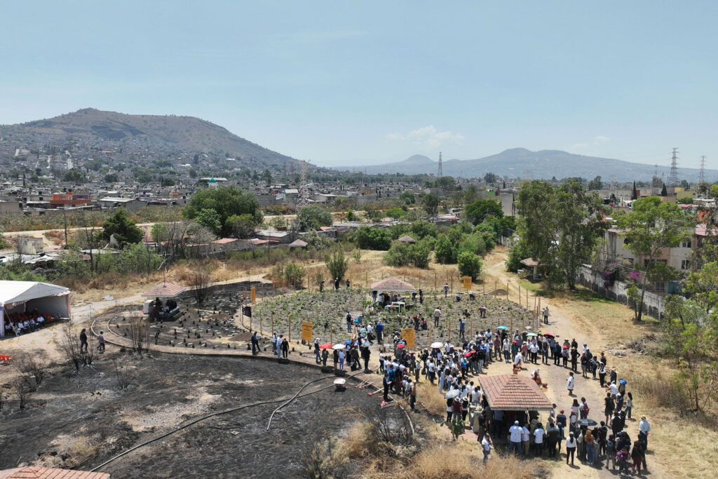 The Miyawaki Method: A Japanese Technique Helping Restore Green Areas in the Valley of Mexico
