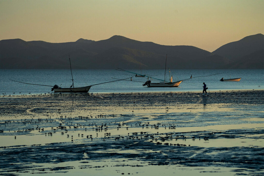 Yoreme Communities Halt Start of Mega-methanol Project in Ohuira Bay