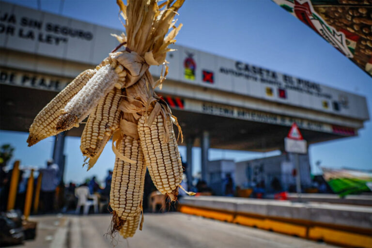 Farmers Warn of World Cup Protests After Cancelled Meeting with Interior Secretariat