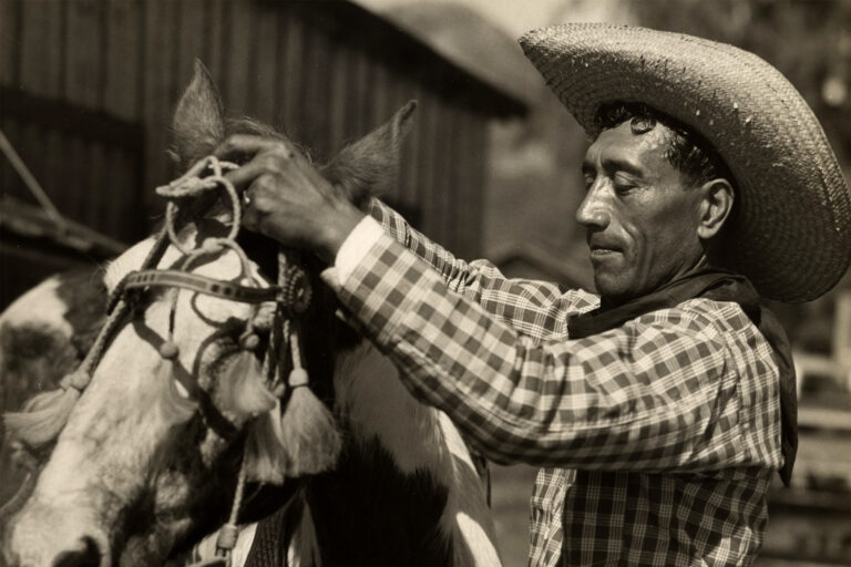 Mexican Hawaiians, Paniolos and Planters