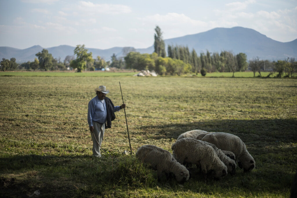 Restore Campesino Rights, Reject the USMCA
