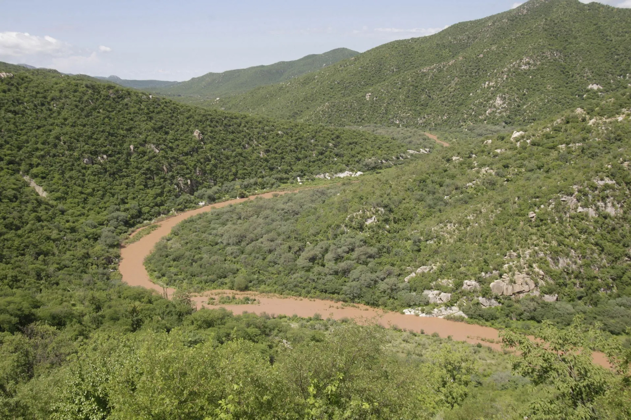 Río Sonora Basin Committees Accuse Grupo México & Government of Trying to Close Toxic Spill Issue