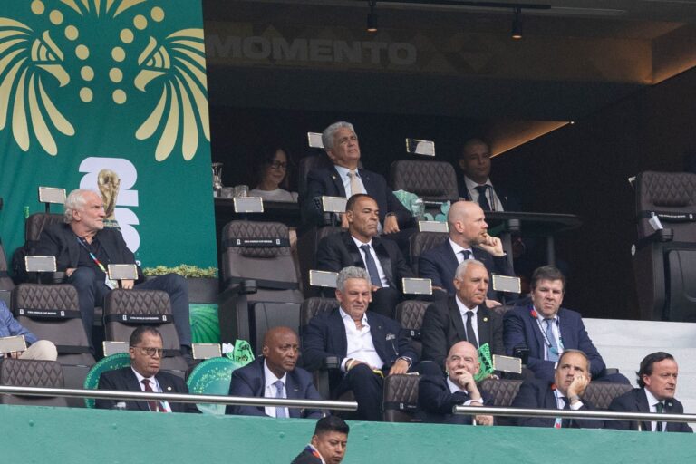 FIFA: Corporate State with Market Immunity