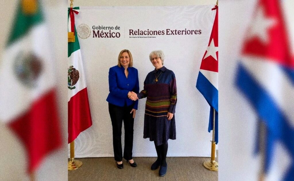 Cuba’s Vice Foreign Minister, Josefina Vidal, Thanks Mexico for Systematic Material Aid