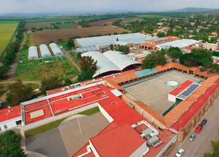 The Centro Fox complex on the San Cristóbal ranch in Guanajuato