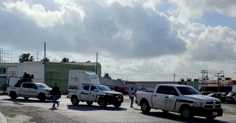 In June, 106 Missing Persons Were Located in Tamaulipas