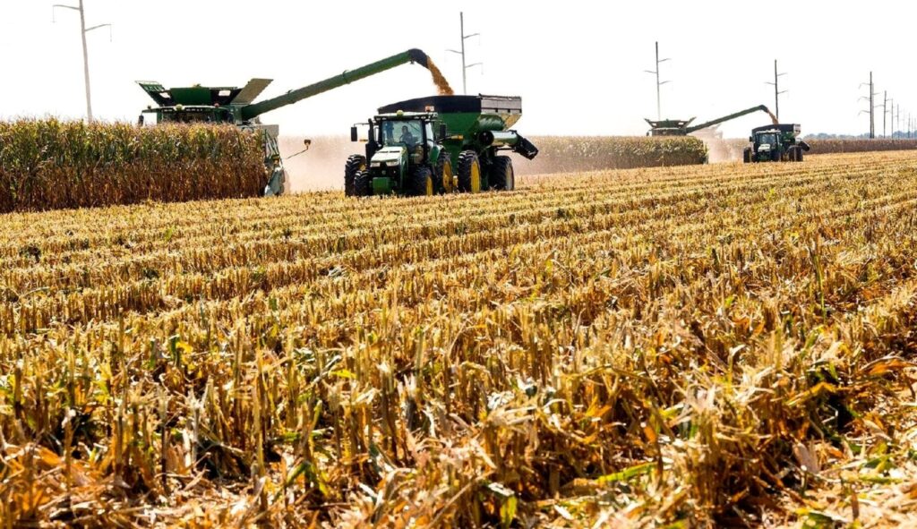 Record High for Mexico’s Corn Imports in the First Half of the Year