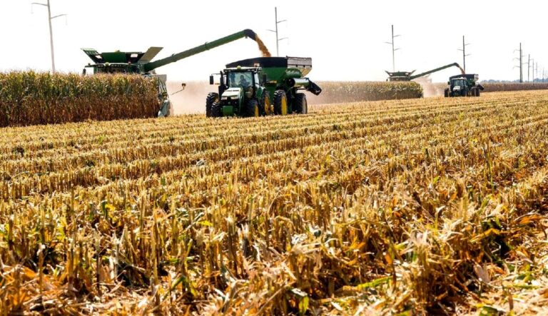 Record High for Mexico’s Corn Imports in the First Half of the Year