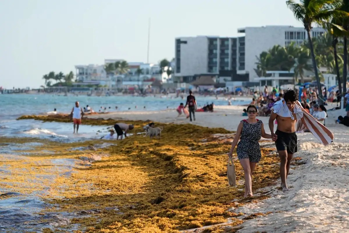 Playa Pelícanos in Playa del Carmen, Quintana Roo