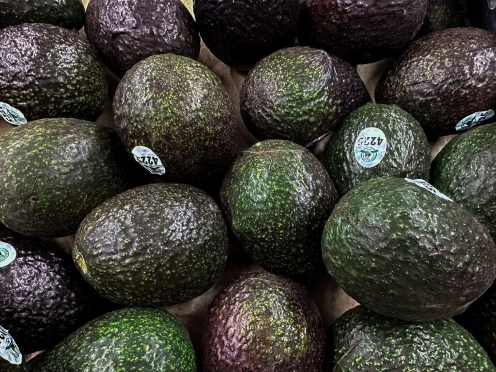 Mexico Exported 501,824 Tonnes of Avocado to the US Between January and April