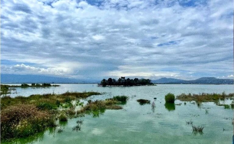 Return of 500 Species of Fauna and Flora to Lake Texcoco Shows the Importance of Not Having Built the NAICM: Sheinbaum