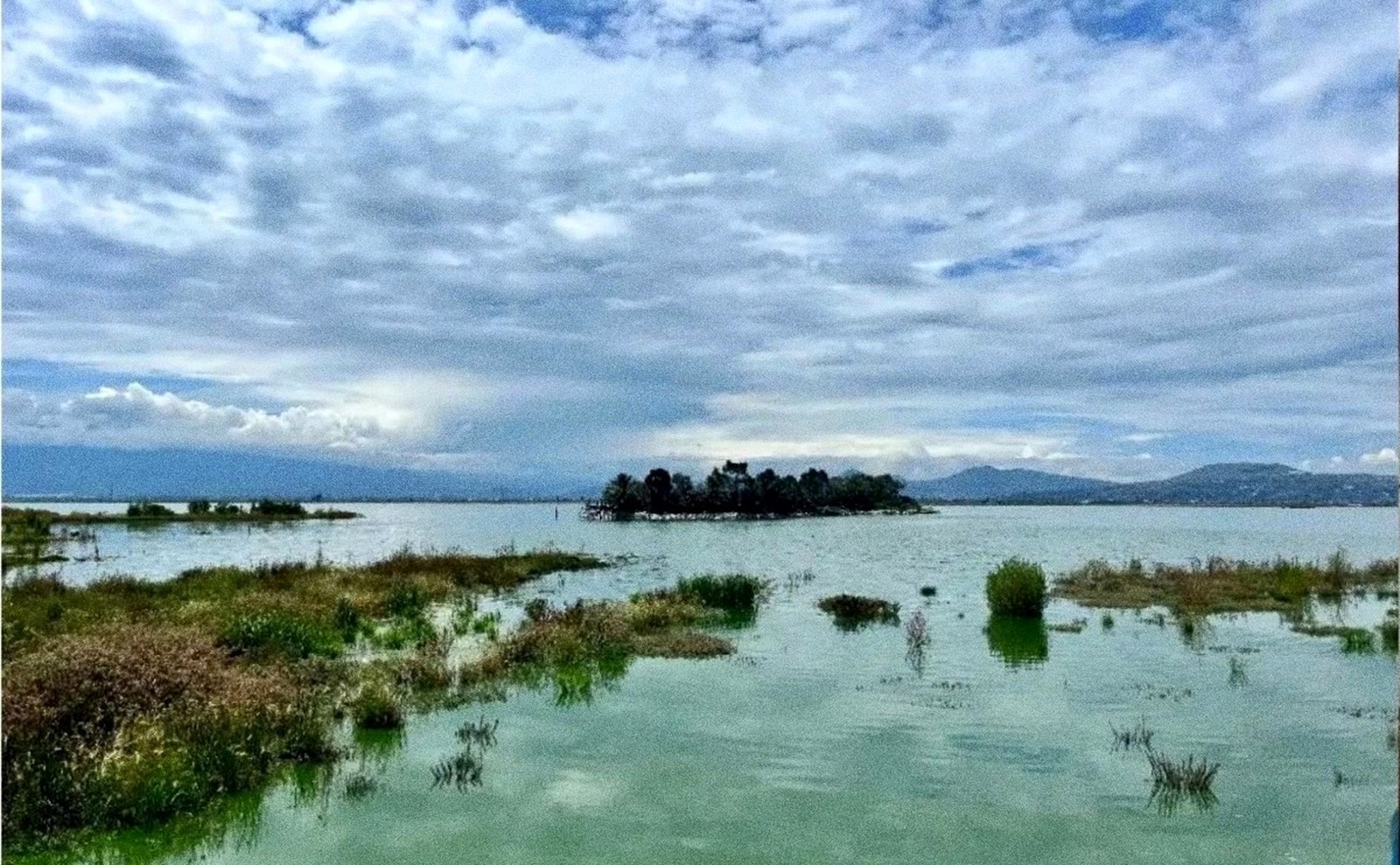 Return of 500 Species of Fauna and Flora to Lake Texcoco Shows the Importance of Not Having Built the NAICM: Sheinbaum