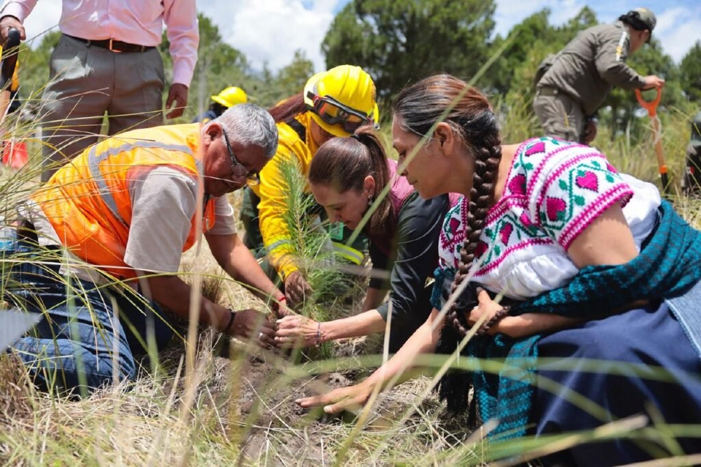 Sheinbaum Kicks Off the National Reforestation Day in Puebla; the Goal Is to Plant 6.6 Million Trees in a Day