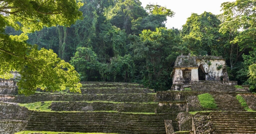 Mexico, Belize, and Guatemala Present Plan to Protect 5.7 Million Hectares of the Great Maya Forest
