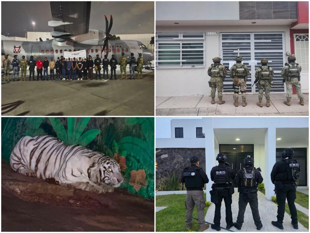 Blow to the CJNG: 20 Members Fall in 3 States; They Had Weapons, Drugs, Tigers…