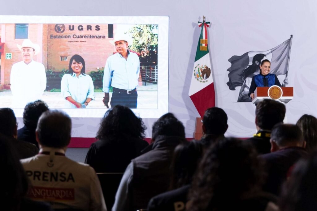 Mexico Resumes Cattle Exports to the US After More Than a Year of Suspension over Screwworm