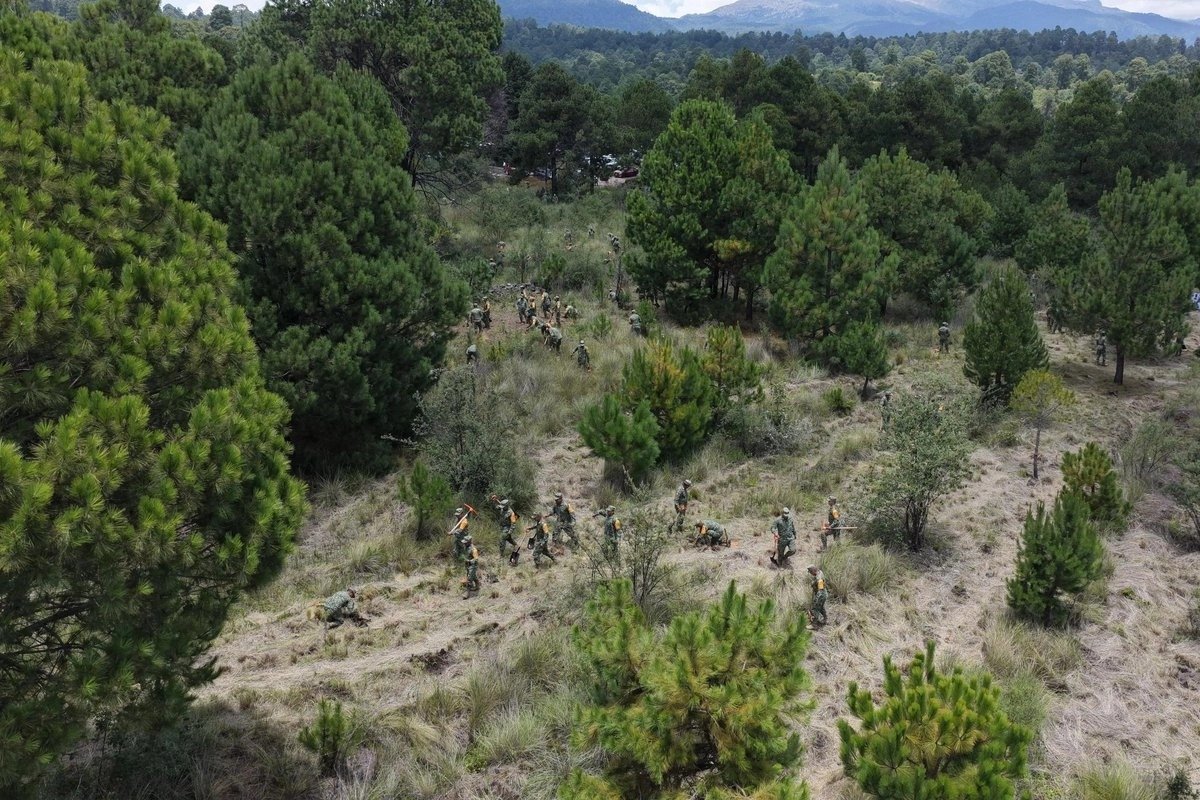 The National Reforestation Day at the Iztaccíhuatl-Popocatépetl National Park