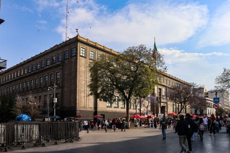 Mexico’s Federal Judiciary Reports 88% of Cases Resolved in One Year