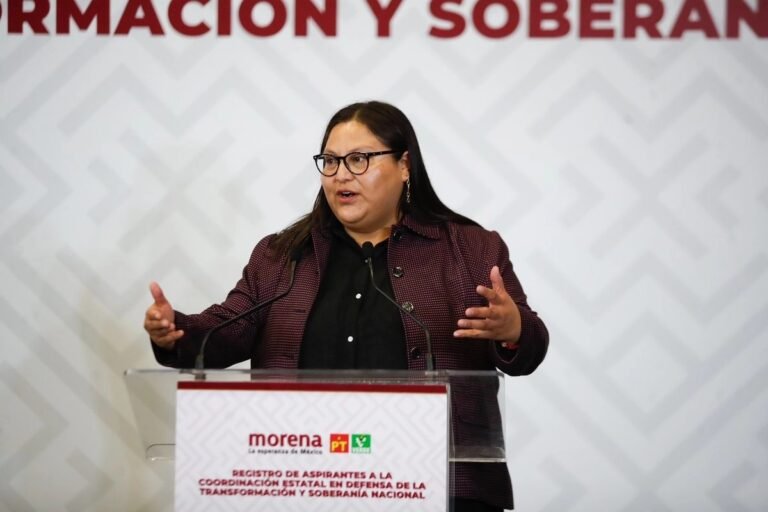 Morena’s Elections Commission Chief: Differences Are Natural to a Living Party