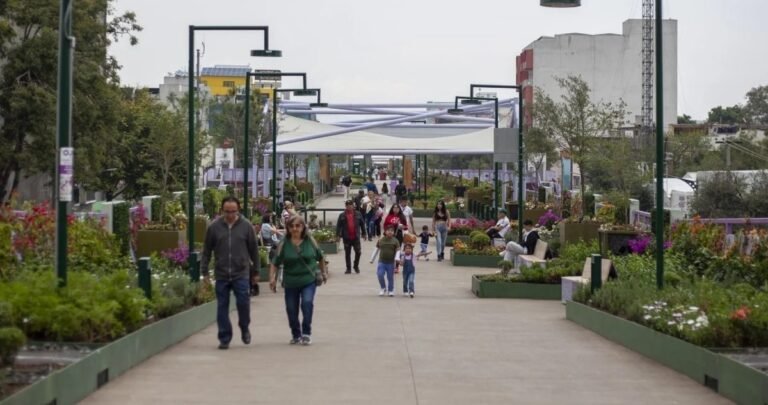 41.4% of Mexican Households Supplement Income with Government Programs