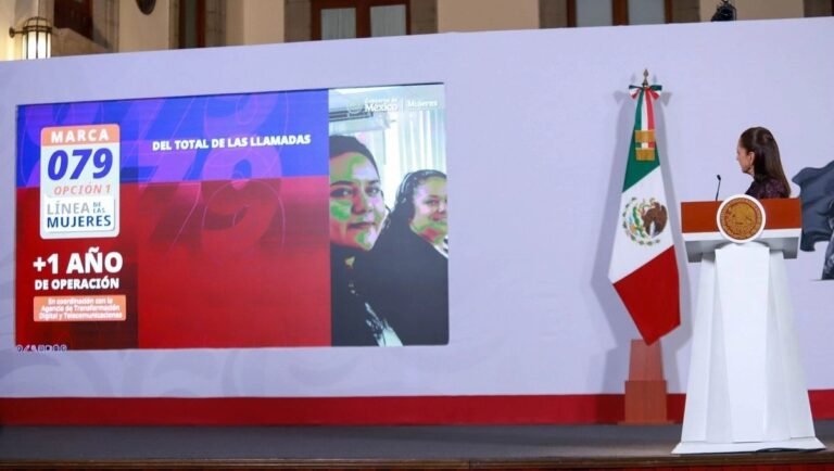 Historic 36% Reduction in Daily Incidence of Femicides in Mexico, Reports the Secretariat of Women