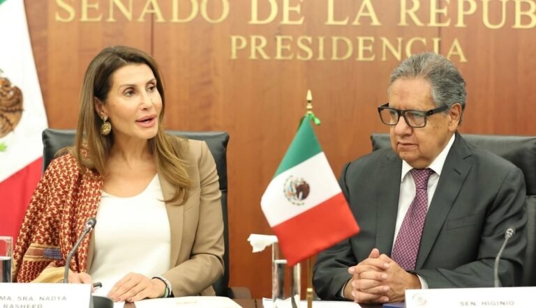 Ambassador of Palestine Asks Mexico to Review Companies Linked to Israeli Settlements