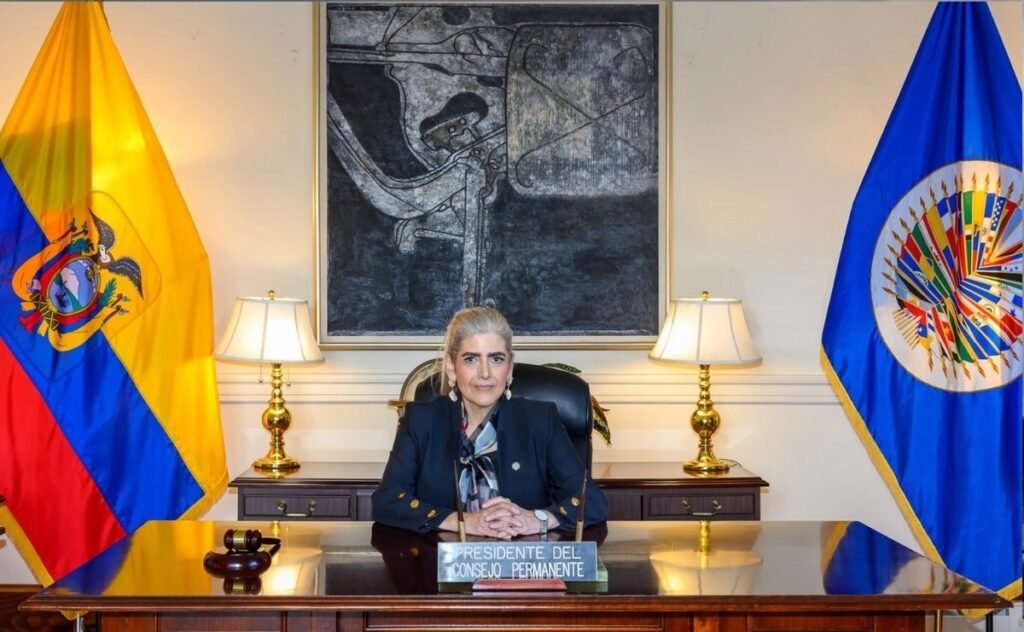 Mexico Asks Mónica Palencia for Neutrality Upon Assuming the Presidency of the OAS Council