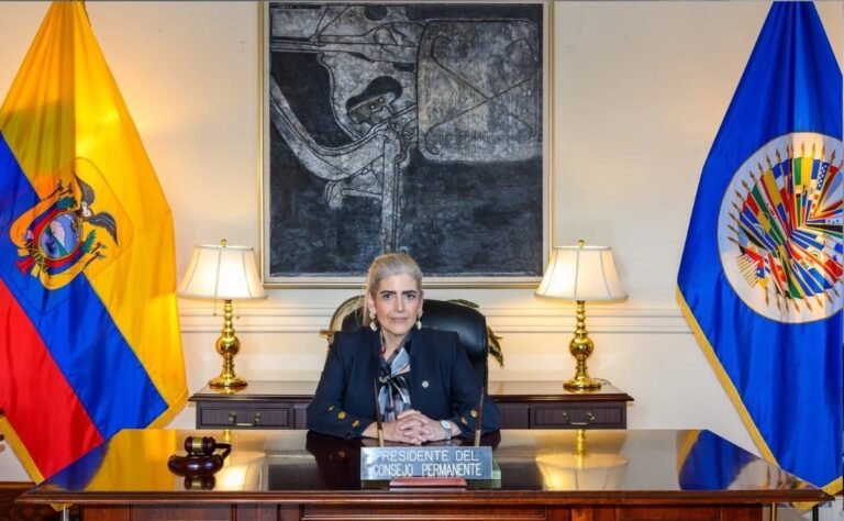 Mexico Asks Mónica Palencia for Neutrality Upon Assuming the Presidency of the OAS Council