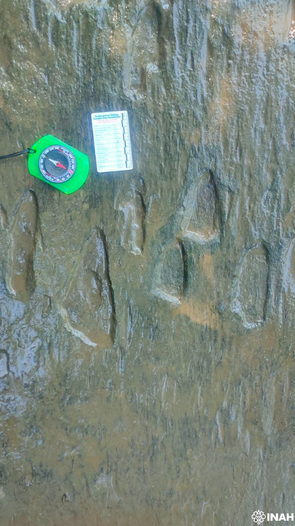 Researcher measuring a dinosaur footprint in Apatzingán