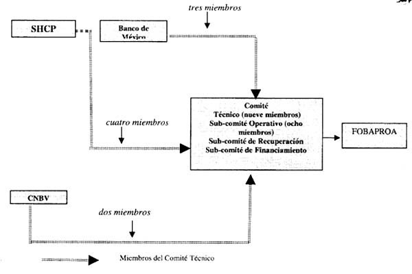 Diagram of the Fobaproa Technical Committee: SHCP, Bank of Mexico and CNBV members
